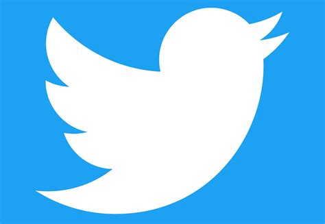 twitter meaning.